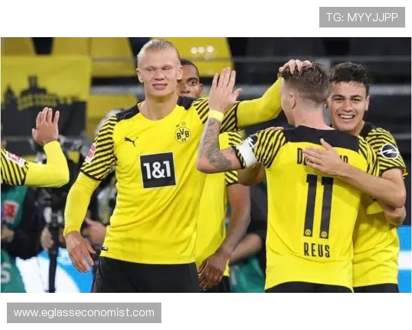 哈兰德感慨自己也开始遭遇死亡威胁引发外界广泛关注与担忧 哈兰德感慨自己也开始遭遇死亡威胁引发外界广泛关注与担忧