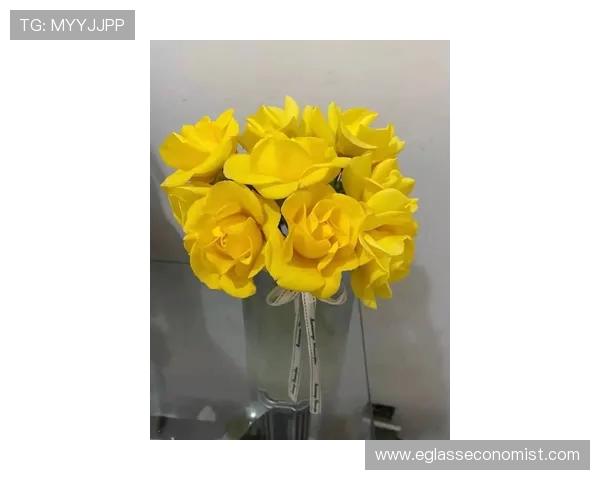 河南队破解蓉城中区压迫成胜负焦点能否化解压力决定比赛走向